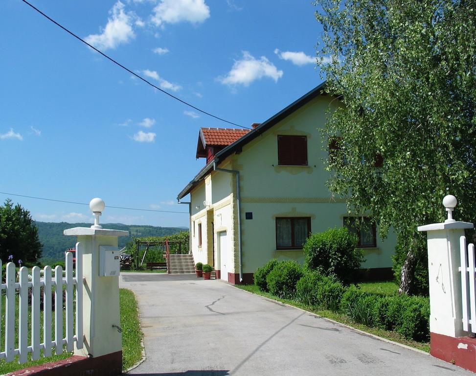 Apartments Vidos Drežnik Grad Cameră foto